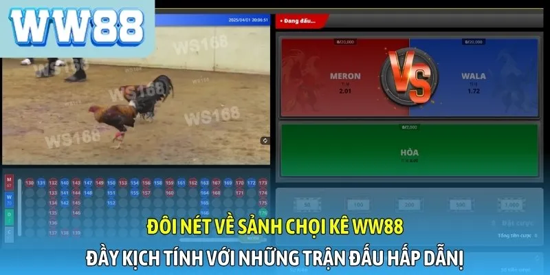 Đôi nét về sảnh chọi kê WW88 - Đầy kịch tính với những trận đấu hấp dẫn